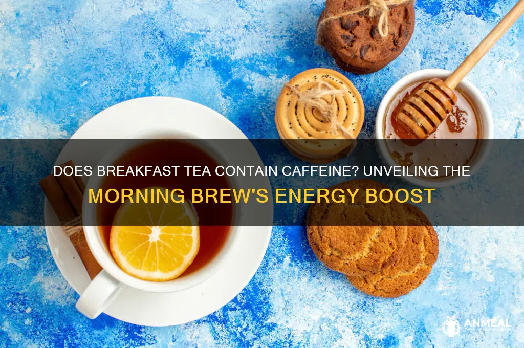 does breakfast tea contain caffeine
