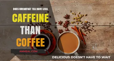 Tea vs Coffee: Which Has More Caffeine?