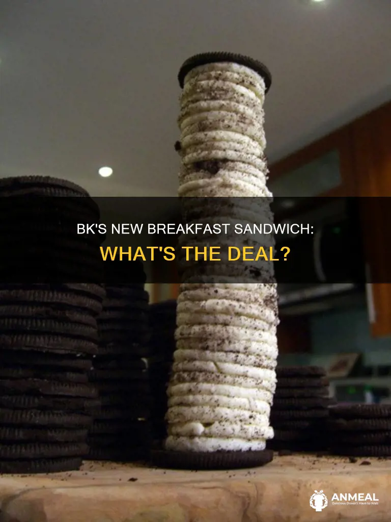 does burger king have a new breakfast sandwich