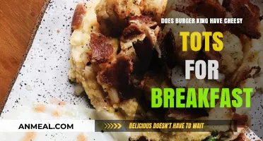 BK Cheesy Tots: Are They a Breakfast Option?