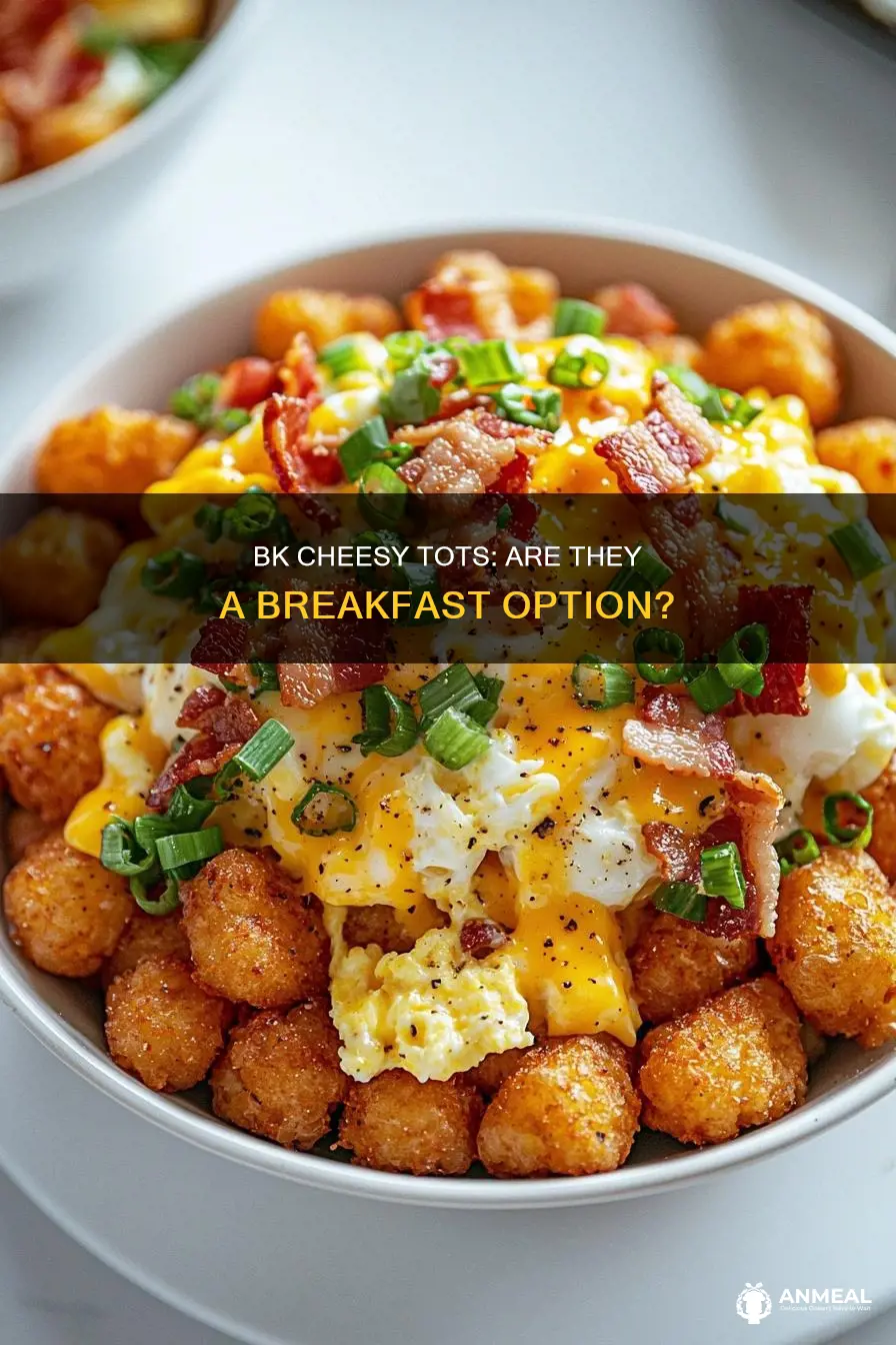 does burger king have cheesy tots for breakfast