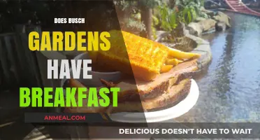 Busch Gardens Breakfast Options: What to Expect at the Park
