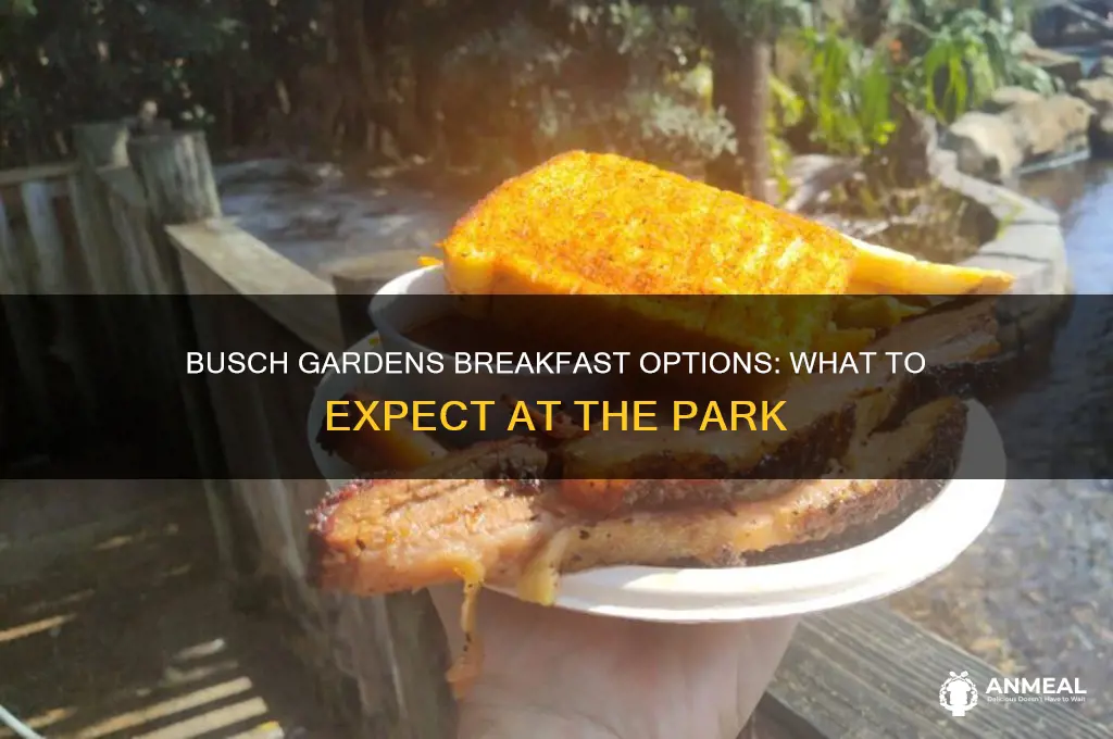 does busch gardens have breakfast