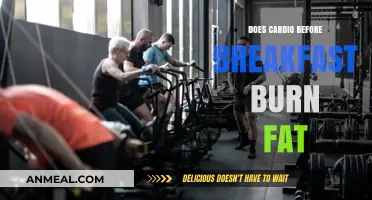 Morning Cardio: Burn Fat Before Breakfast?