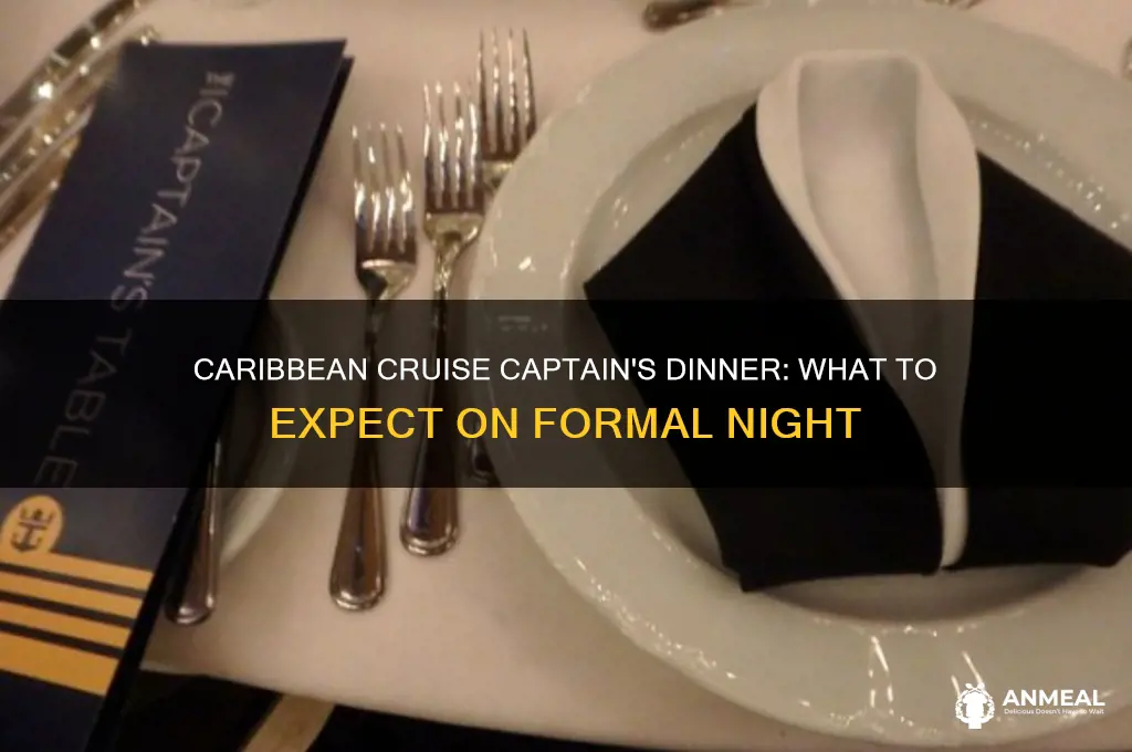 does caribbean cruise have a captain