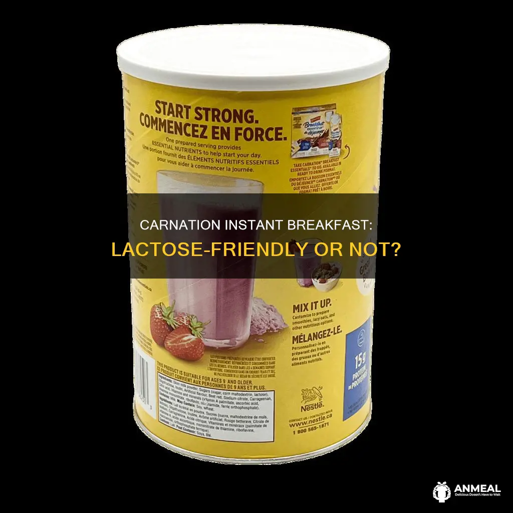 does carnation instant breakfast have lactose