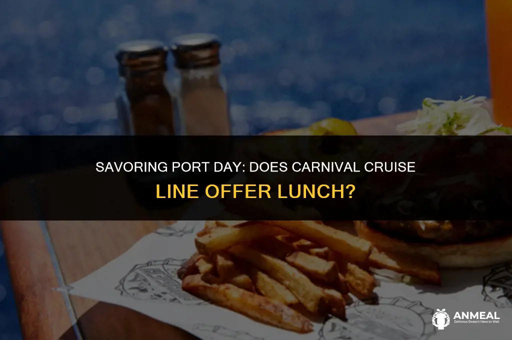 does carnival provide lunch on port day