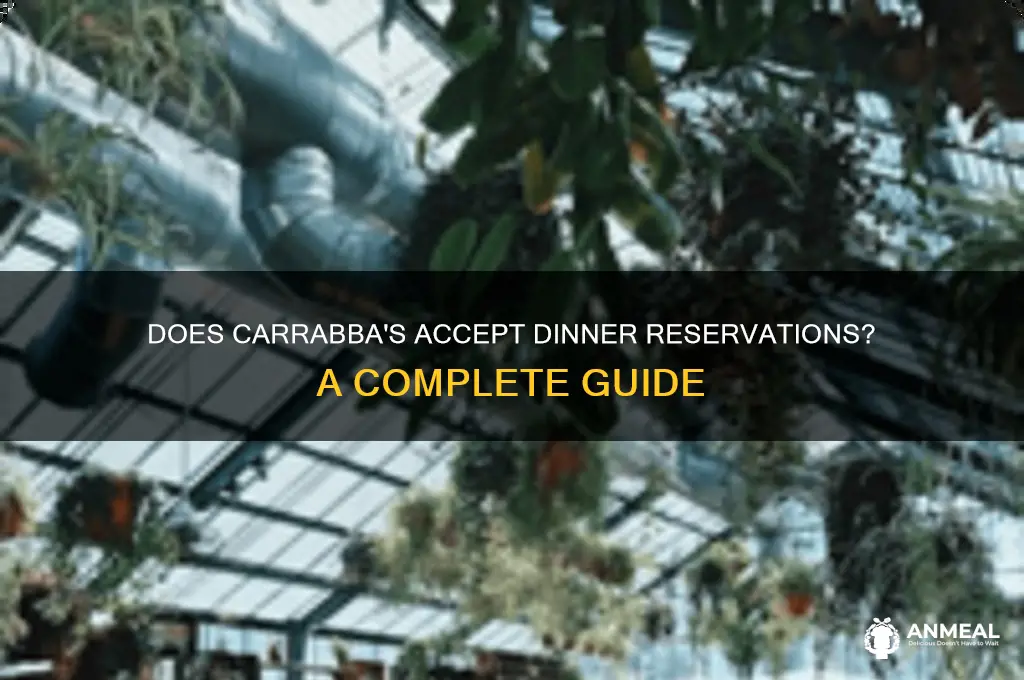 does carrabba