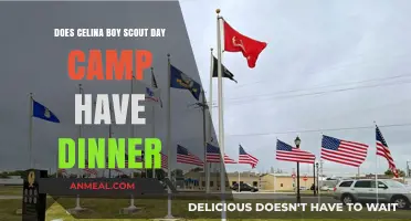 Does Celina Boy Scout Day Camp Include Dinner? Find Out Here