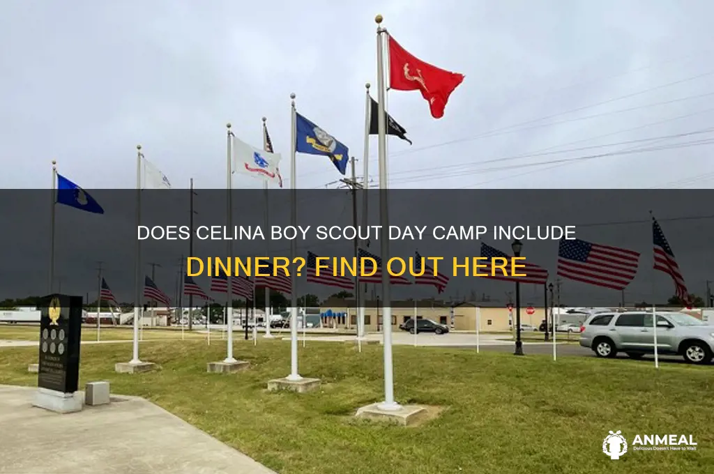 does celina boy scout day camp have dinner