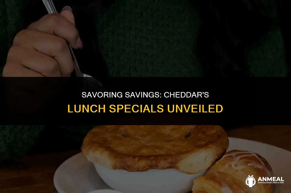 does cheddar
