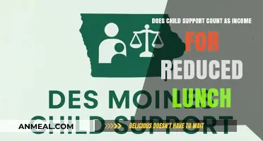 Understanding Child Support and Reduced Lunch Benefits