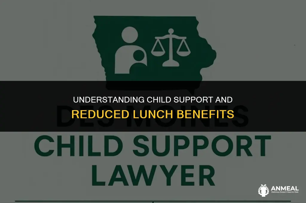 does child support count as income for reduced lunch
