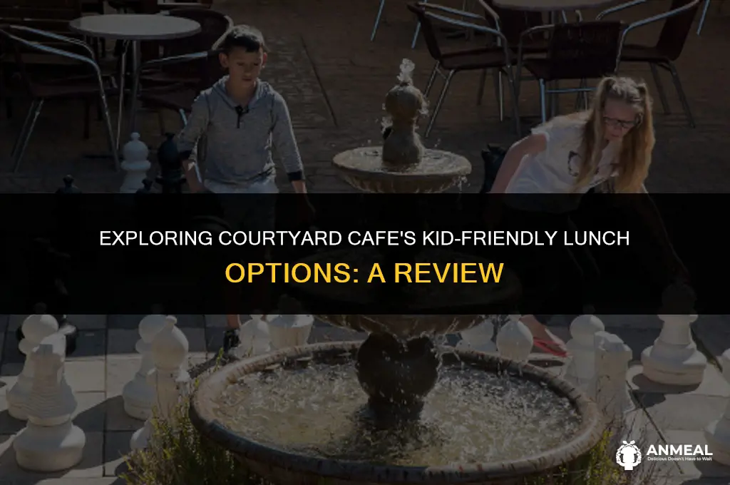 does childrens courtyard provide lunch