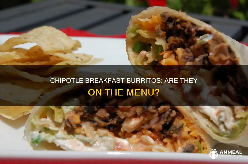 does chipotle do breakfast burritos