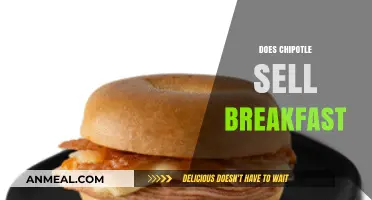 Chipotle Breakfast Menu: What’s Available in the Morning?