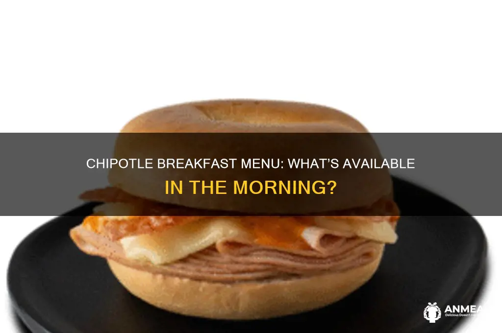 does chipotle sell breakfast