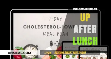 Post-Lunch Cholesterol Surge: Fact or Fiction?
