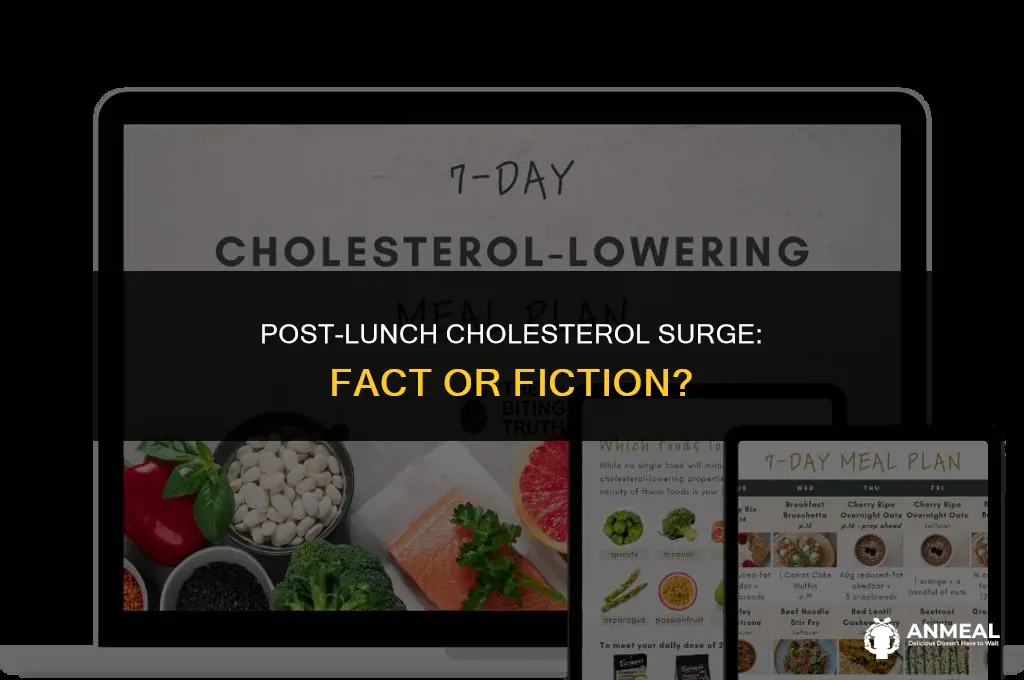 does cholesterol go up after lunch