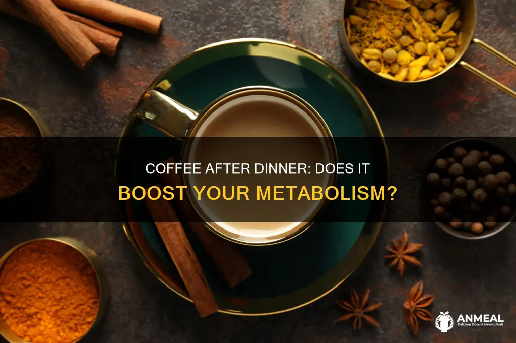 does coffee after dinner speed up metabolism
