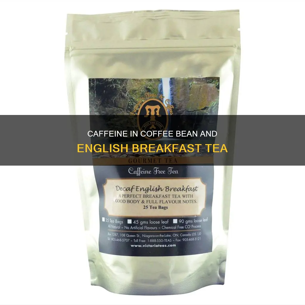 does coffee bean english breakfast tea have caffeine
