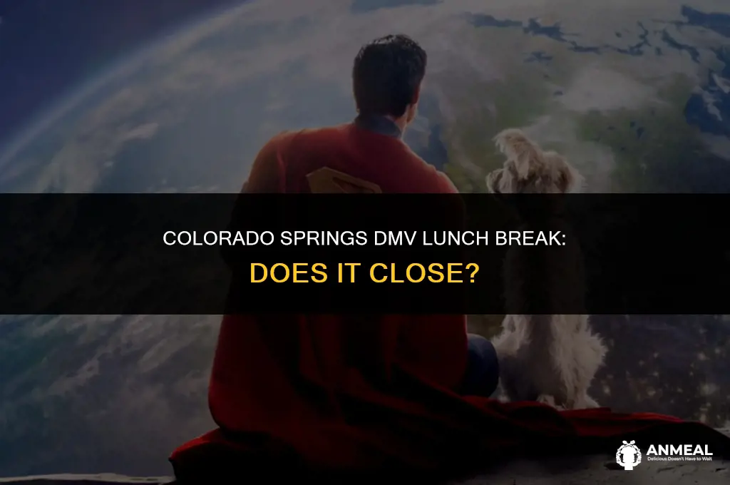 does colorado springs department of motor vehicles close at lunch