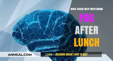 Boosting Brain Clarity: The Role of CoQ10 in Combating Post-Lunch Fog