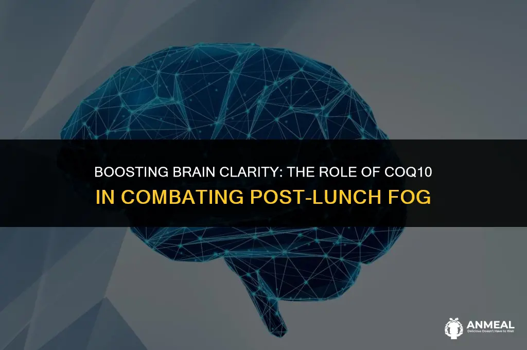 does coq10 help with brain fog after lunch