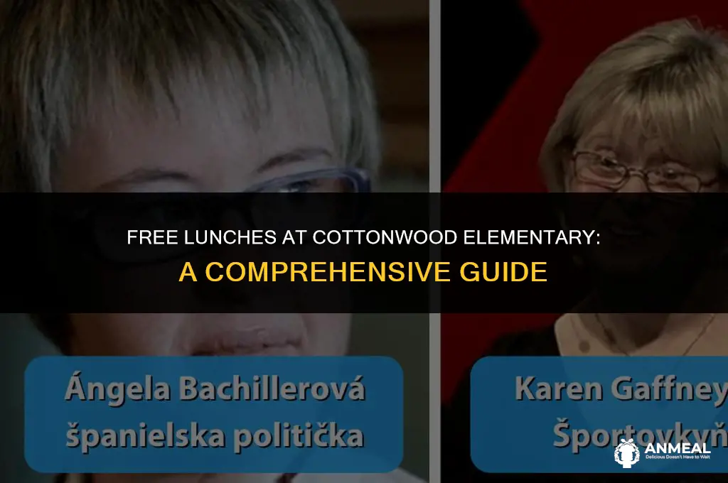 does cottonwood elementary give out free lunches