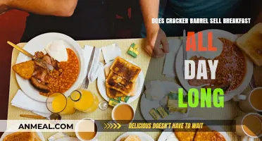 Cracker Barrel's Breakfast: All-Day Availability?
