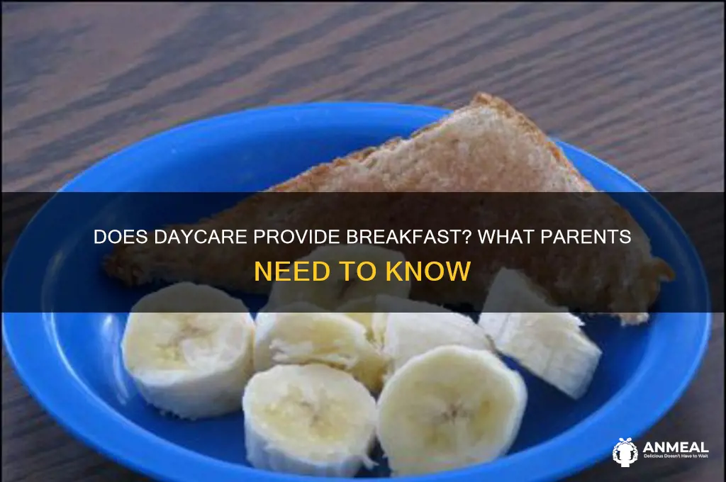 does daycare give breakfast