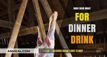 Deer Meat for Dinner: Exploring the Myth of Drinking Deer