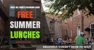 Del Norte Colorado's Free Summer Lunches: A Community Lifeline