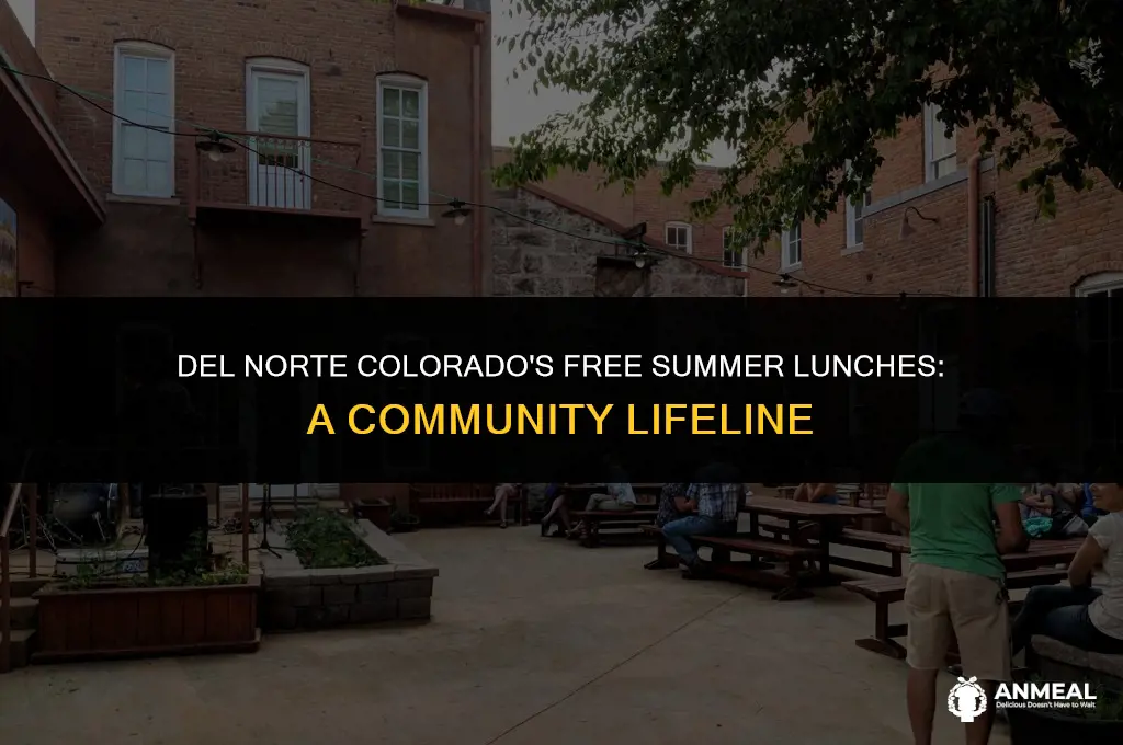 does del norte colorado have free summer lunches