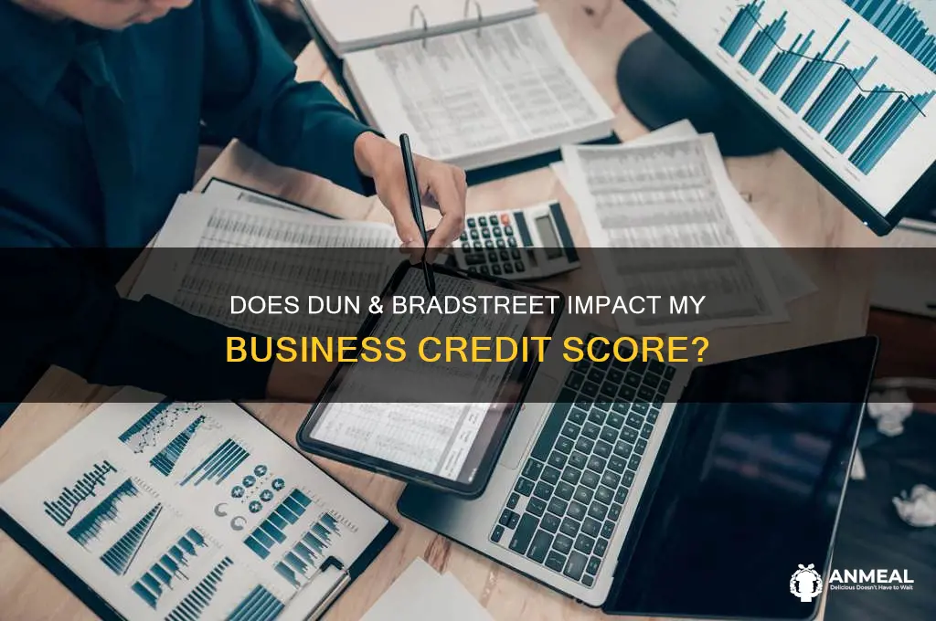 does dinns and bradstreet give me business credot