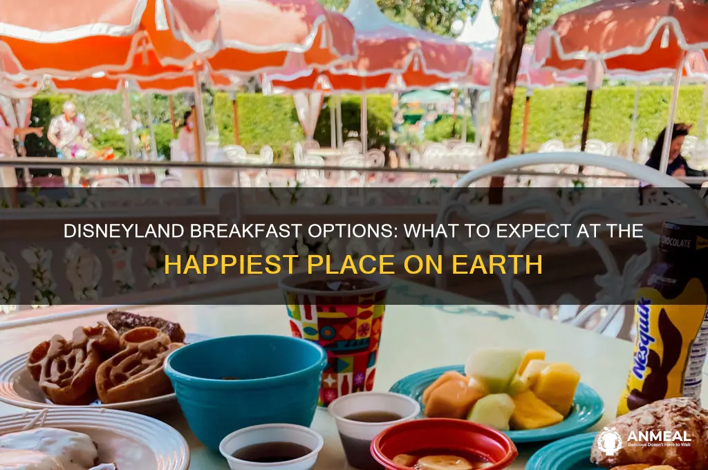 does disneyland have breakfast