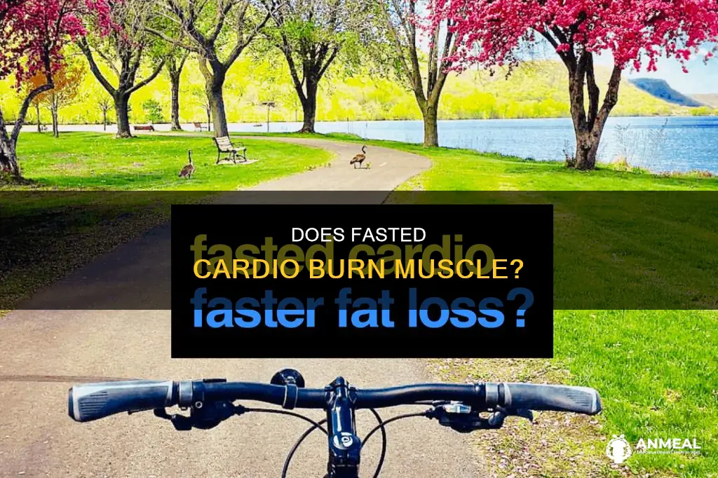 does doing cardio before breakfast burn muscle