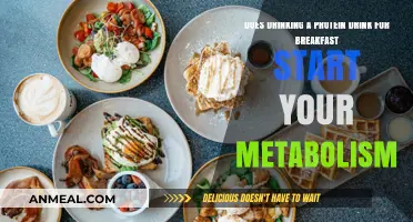 Protein Drinks: Breakfast Metabolism Boosters?