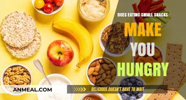 Snack Smart: How Small Bites Can Fuel Your Hunger