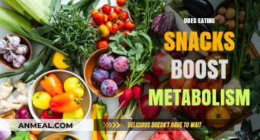 Snack Your Way to a Faster Metabolism: Myth or Reality?