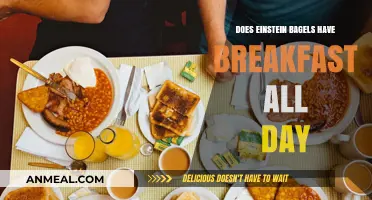 Einstein Bagels: All-Day Breakfast Options Explored