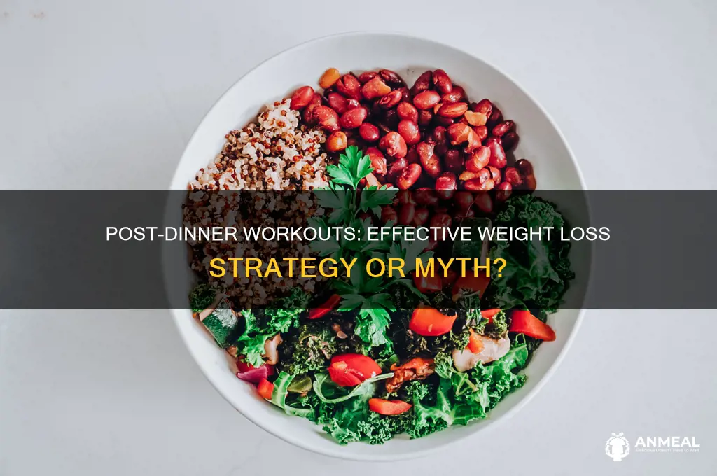 does exercise after dinner help lose weight