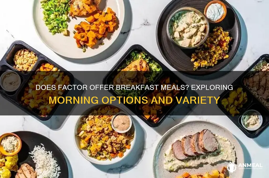 does factor have breakfast meals