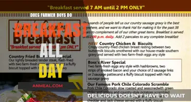 Farmer Boys: Breakfast All Day, Every Day?