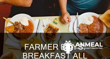 does farmer boys do breakfast all day