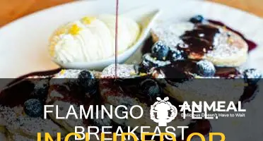 does flamingo hotel give you breakfast