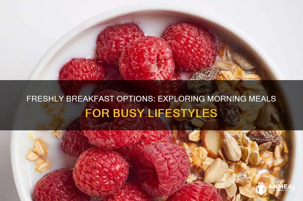 does freshly have breakfast options