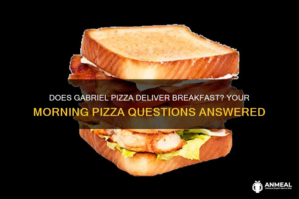 does gabriel pizza delivery breakfast