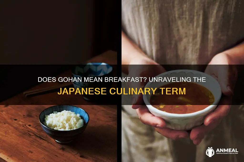 does gohan mean breakfast