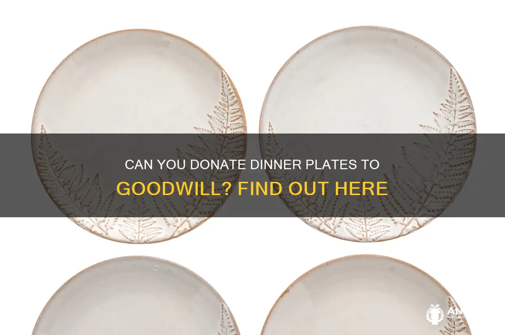 does goodwill take dinner plates